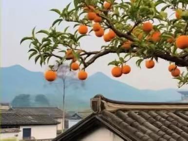 慕意诗情的美篇