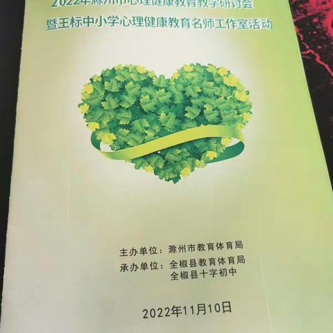 2022年滁州市心理健康教育教学研讨会暨王标中小学心理健康名师工作室活动