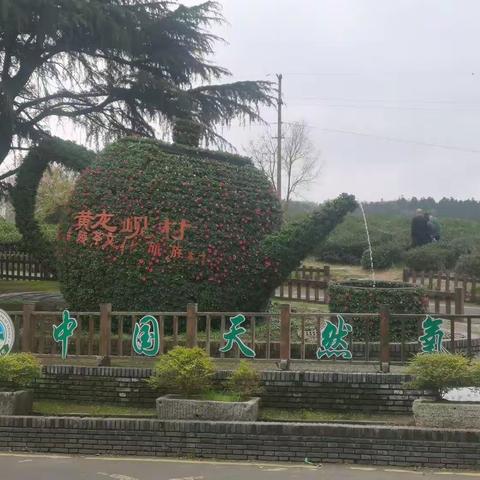 亲农·黄龙岘茶文化村