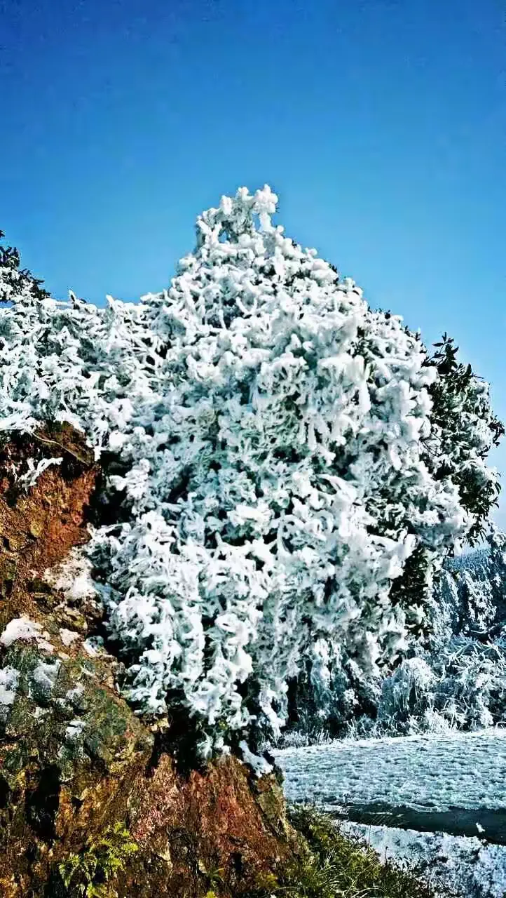 麻姑山雪景图片