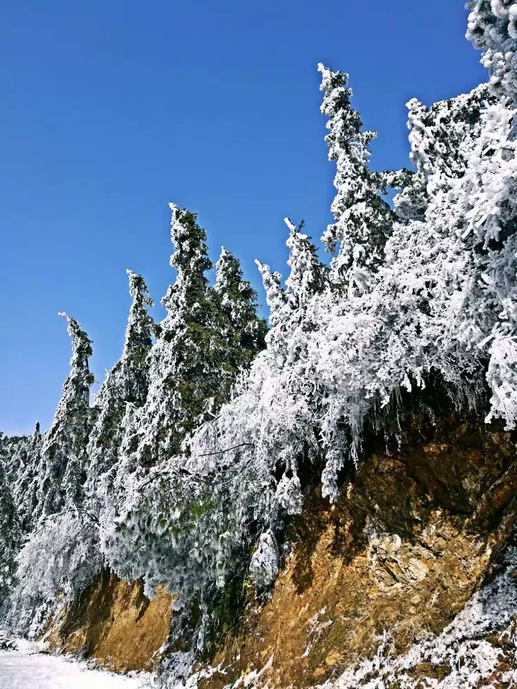 麻姑山雪景图片