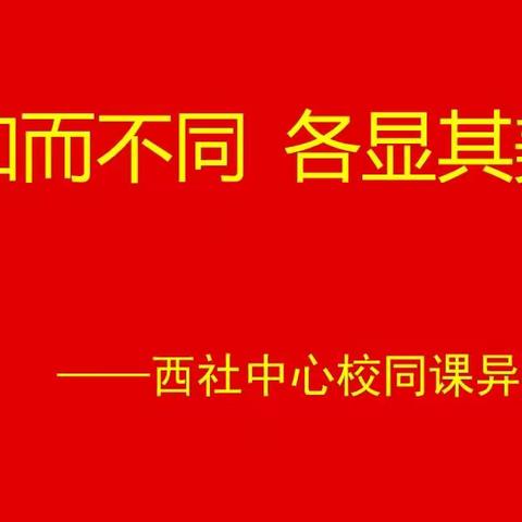 教研活动促成长，同课异构展风采