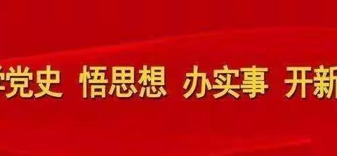 学党史，悟思想，办实事，开新局——平城区十四校党支部主题活动