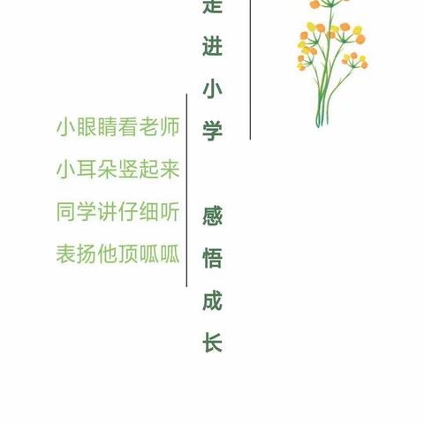 走进小学，感悟成长