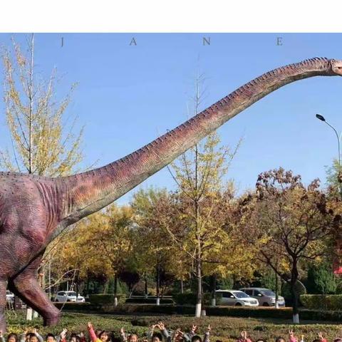 探索地质奥妙 解锁自然神奇