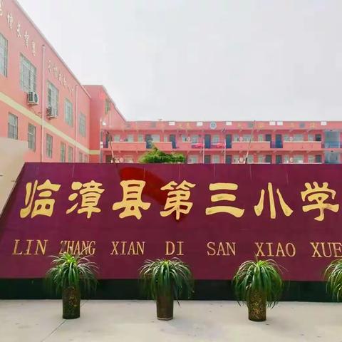 关爱学生幸福成长｜临漳县第三小学特色课后服务篇