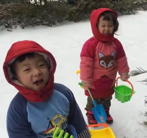 踏雪寻春