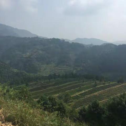 国荣乡定点脱贫攻坚指挥部副指挥长、铜仁市委副书记市长陈晏来国荣乡调研2016.9.16