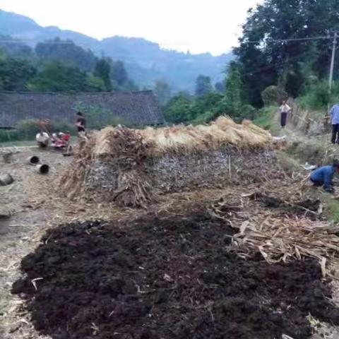 石阡县双孢菇示范2016.9