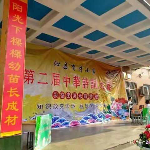 战地黄花分外香，风景这边独好