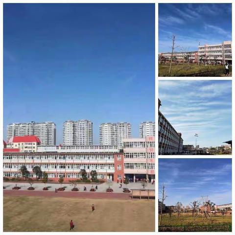 阳春三月，奋斗有我——夏小三年级数学第六周砥砺前行