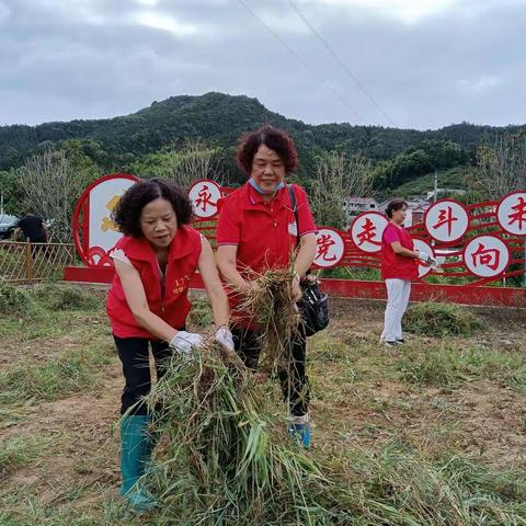 新安江街道叶家社区党员干部的一天