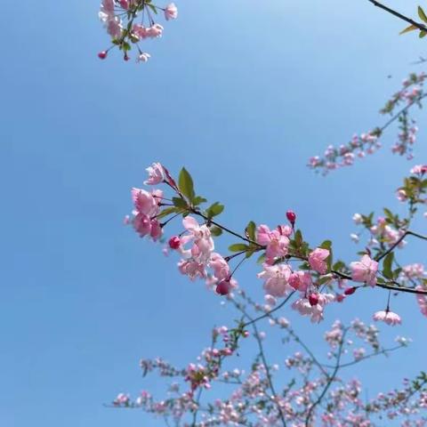 栖溪里三月份工作简报