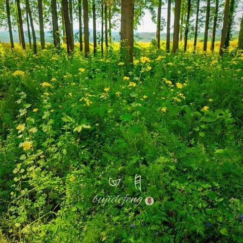 栖溪里四月份工作简报