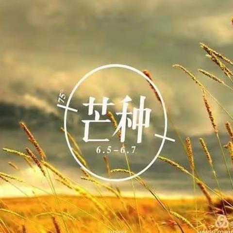 芒种希望  芒种成长——小三班芒种主题活动