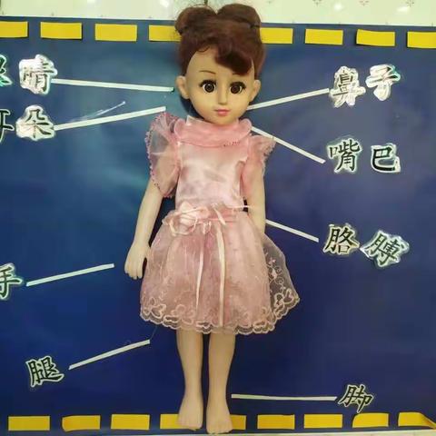 我的身体——小三班主题活动