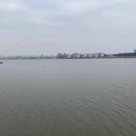 12月15日石门街河长制工作简报