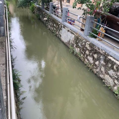 12月29日石门街河长制工作简报