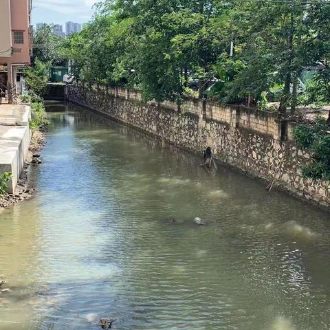 12月21日石门街河长制工作简报