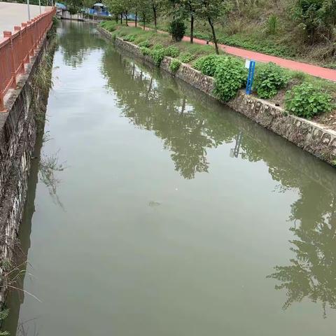 12月26日石门街河长制工作简报