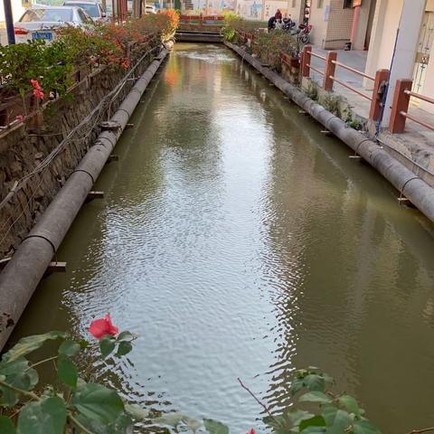 12月28日石门街河长制工作简报