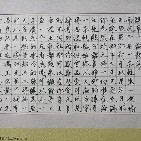 中国人，写好中国字！