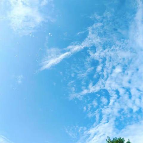 做文明人      创文明城