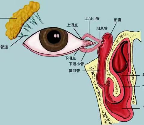 高陵区医院眼科泪道激光成形术——让您不再泪眼婆娑