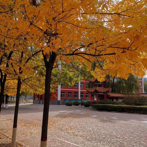 🏃风雨同舟，保驾护航