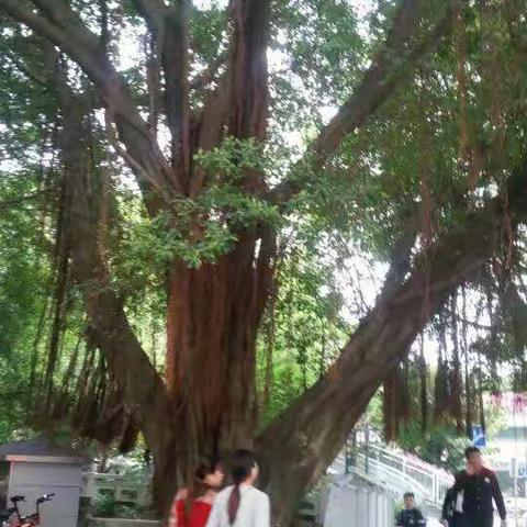 牵手国培,感悟幸福——福建国培之旅                               