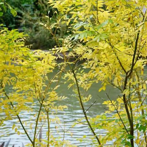 10月闵行游