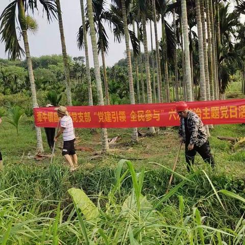 “党建引领，六水共治”主题党日活动