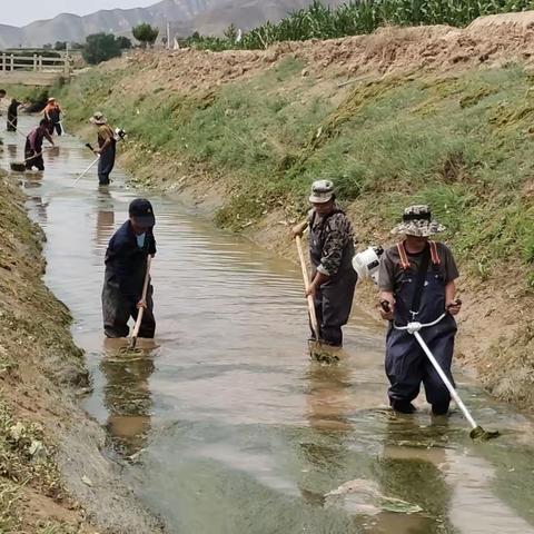 打捞水草排阻塞    渠道畅通保灌溉