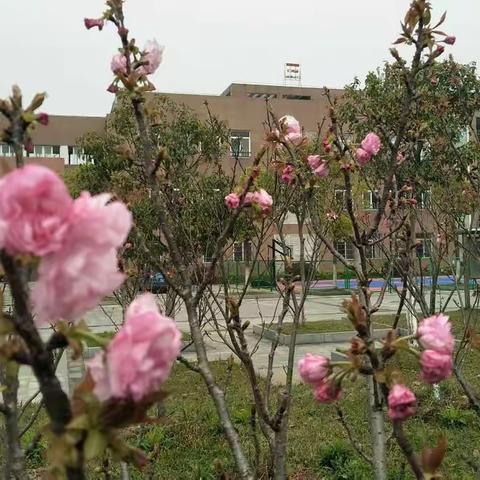 小池三小安全教育——第27个全国中小学安全教育日