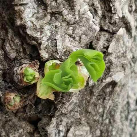 革命家的智慧和情怀永放光芒