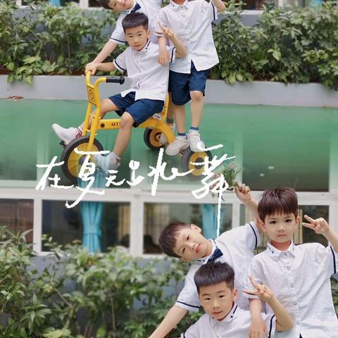 🌈你与星河🌟皆可收藏🎊✈️——翻身幼儿园维尼班