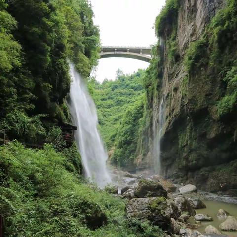 恩施翠绿令人回甘