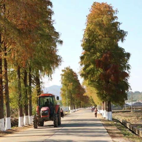 美丽乡村—韶关始兴