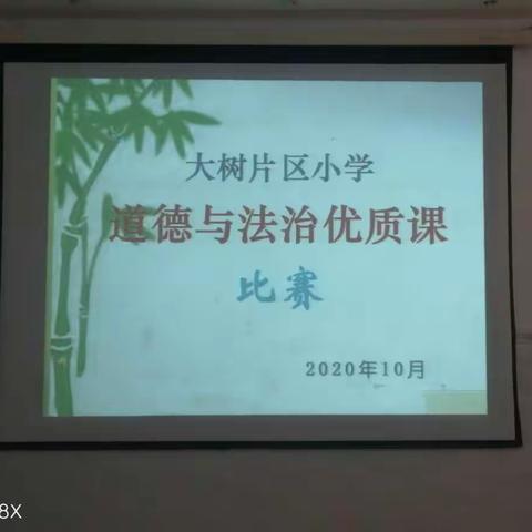 明理入心，立德育魂——大树片区道德与法治优质课活动纪实