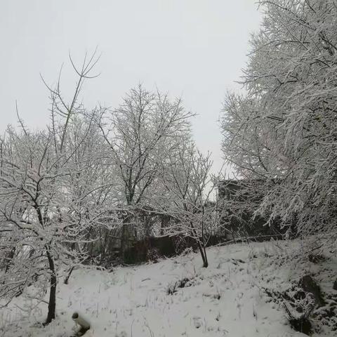 我的美篇