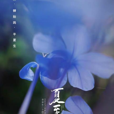 金东方夏至包馄饨（2023.6.21）