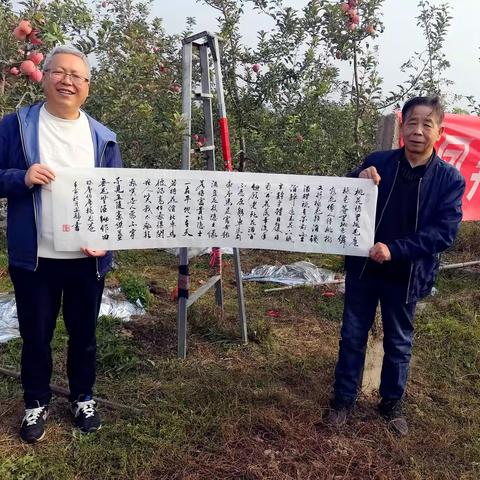 凤翔陶公果园行