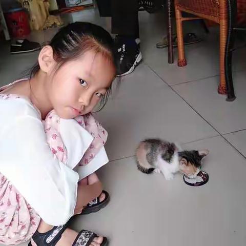 史晋铭的暑假生活