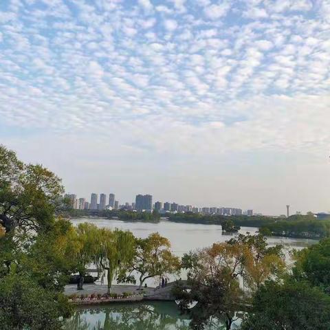 南朝四百八十寺，多少楼台烟雨中