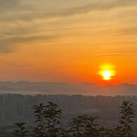 炎炎夏日 烈日当空 我们坚守在疫情一线