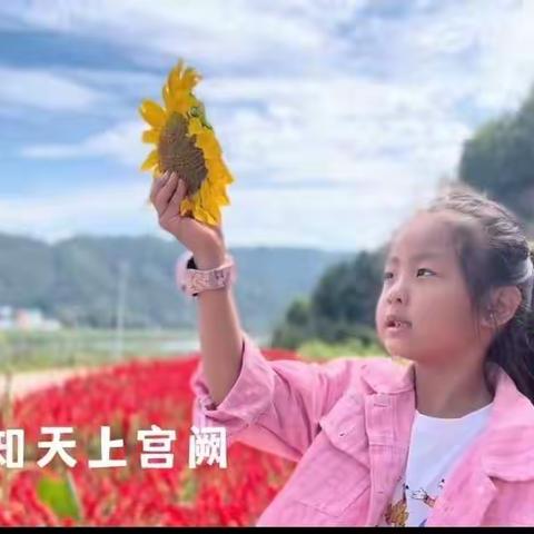 我们的节日•中秋节