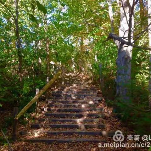 红河公园 Rouge River @ 2016