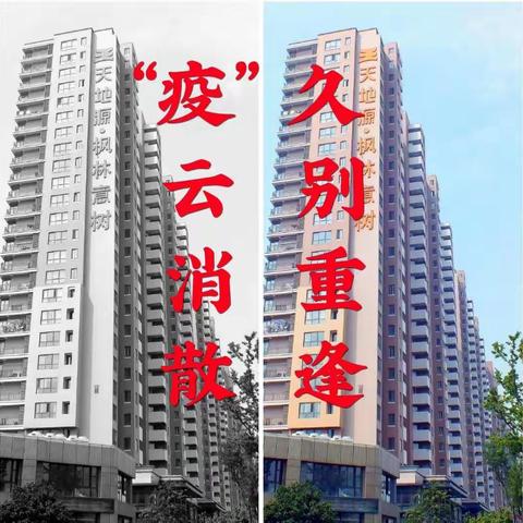 疫情好转🌸·  “意树”解封🍀