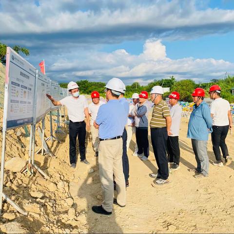 水利部珠江水利委员会对南繁(乐亚片区)水利设施项目进行现场督办。