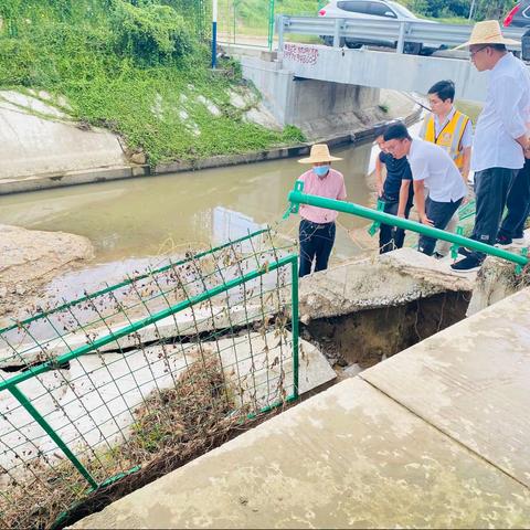 省水务厅农水处一级调研员林郁一行到南繁项目检查台风“暹芭”对工程造成的水毁情况，并查看南木引水渠段建设